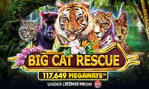 Imagem do Jogo Big Cat Rescue Megaways do 587bet